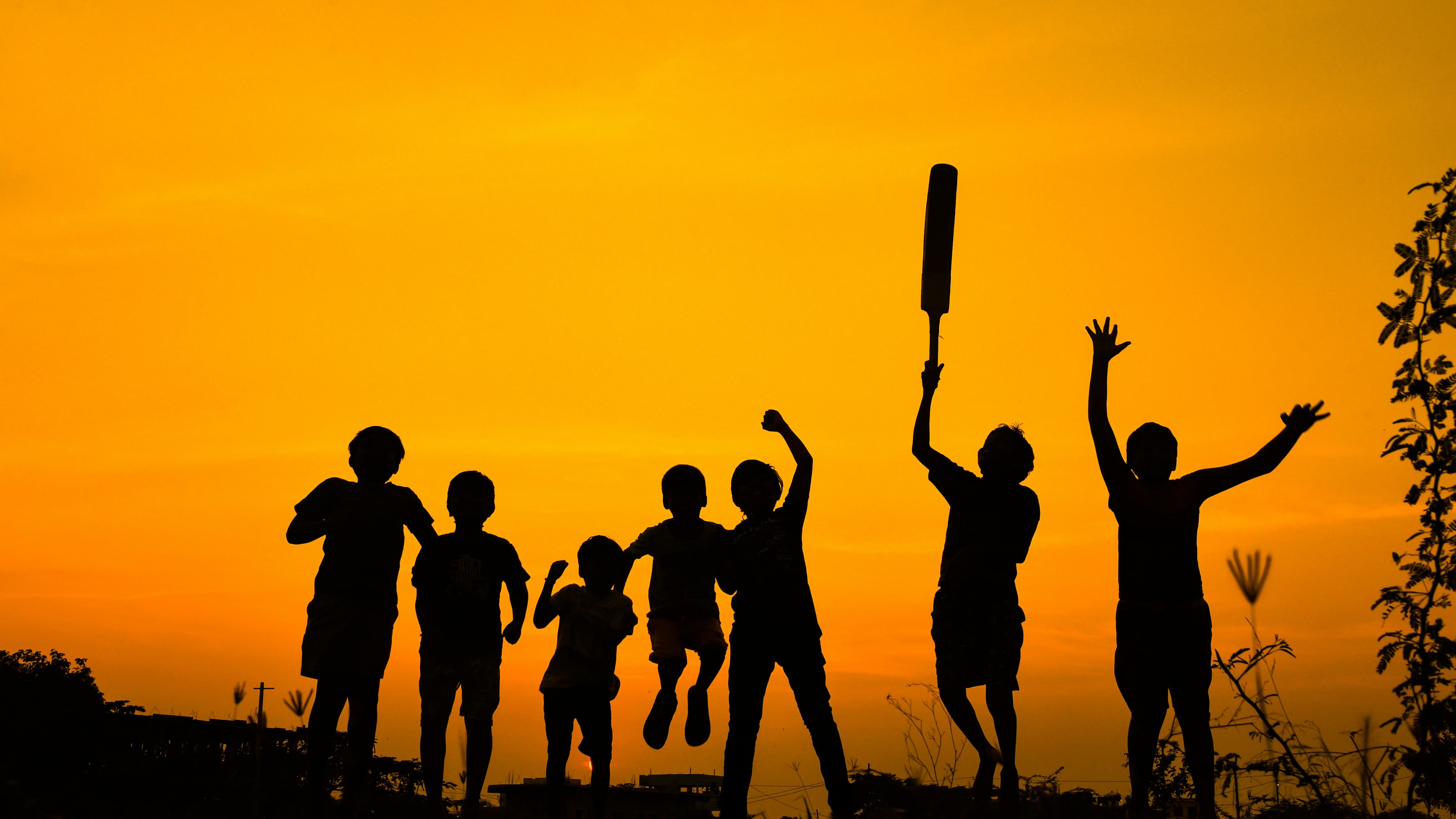 Cricket academy training